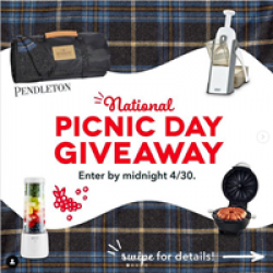 Dash National Picnic Day Giveaway prize ilustration
