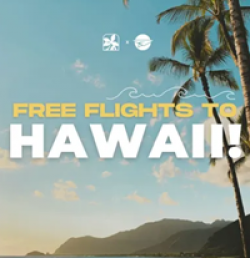 Flights From Home Hawaii Sweepstakes prize ilustration