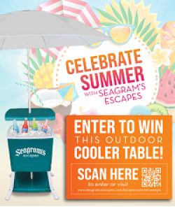 Seagrams Escapes Summer Sweepstakes prize ilustration