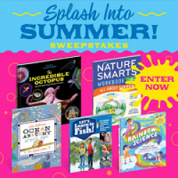 The Splash Into Summer Sweepstakes prize ilustration