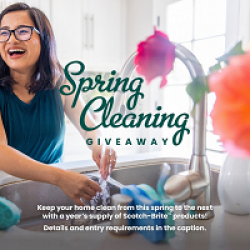 Scotch-Brite Spring Cleaning Giveaway prize ilustration
