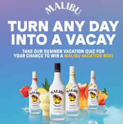 Malibu Rum 100 Days of Summer prize ilustration