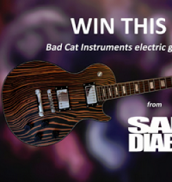 Electric Guitar Giveaway prize ilustration