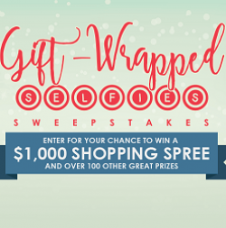 Prizes 1 000 Holiday Ping Spree Awarded As A Prepaid Gift Card 500 Waffle House And Swag Bag 250