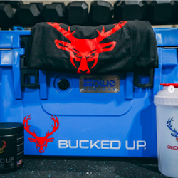 Blue Coolers Bucked Up Sweepstakes prize ilustration
