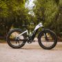 Win a Denago Fat Tire eBike Giveaway in online sweepstakes
