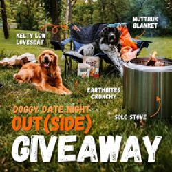 Doggy Date Outside Sweepstakes prize ilustration