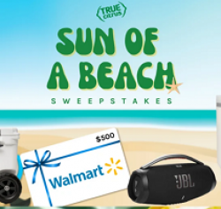Sun of a Beach Sweepstakes prize ilustration