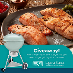 ASC Sizzling Summer Giveaway prize ilustration