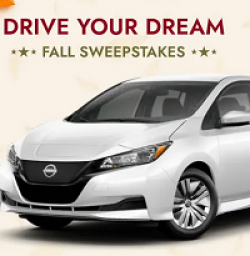 Drive Your Dream Sweepstakes prize ilustration