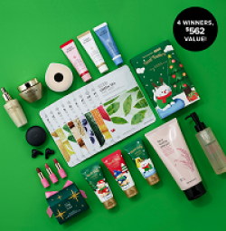 Avon Mega Holiday Sweepstakes prize ilustration