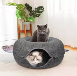 Cat Play Tunnel Giveaway prize ilustration