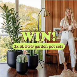 Slugg Garden Pot Clusters Giveaway prize ilustration