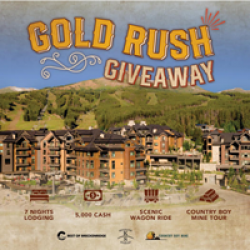 Gold Rish Givewaay prize ilustration