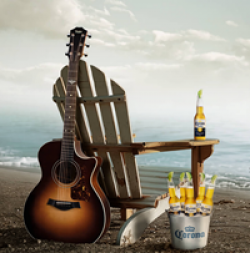Corona The Last of Us Sweepstakes prize ilustration