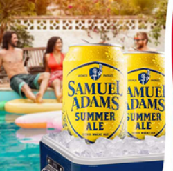 Samuel Adams Summer Fund Sweepstakes prize ilustration