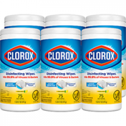 Clorox Wipes for the Win prize ilustration