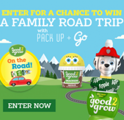Family Road Trip Sweepstakes prize ilustration