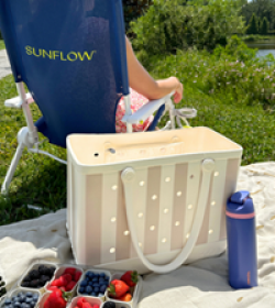 Wish Farms Summer Essentials Giveaway prize ilustration