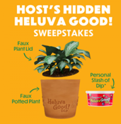Host's Hidden Heluva Good Sweepstakes prize ilustration