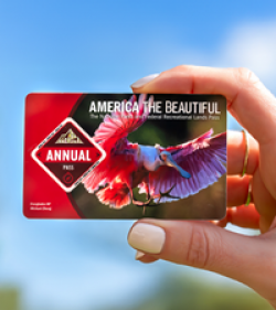Explore Organically with Stonyfield prize ilustration