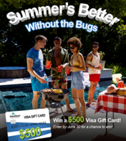 Hometeam Pest Defense Summer Giveaway prize ilustration
