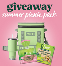 BFree Summer Picnic Sweepstakes prize ilustration