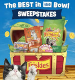 The Best in the Bowl Sweepstakes prize ilustration