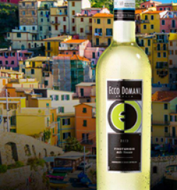 Ecco Domani Italy Sweepstakes prize ilustration