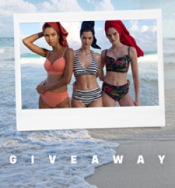 National Bikini Day Giveaway prize ilustration