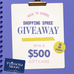 Palmetto Moon Back to School Sweepstakes prize ilustration