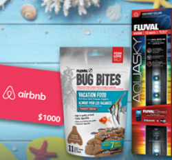 Fluval Fun in the Sun Sweepstakes prize ilustration