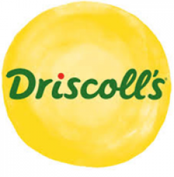 Driscolls Pickleball Sweepstakes prize ilustration