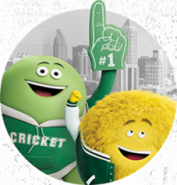 Celebration Bowl Flyaway Sweepstakes prize ilustration