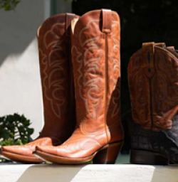 Country Outfitter Fall Giveaway prize ilustration