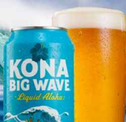 Kona Big Wave Getaway Sweepstakes prize ilustration