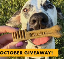 C-A-L Ranch Greenies Dental Treats Giveaway prize ilustration