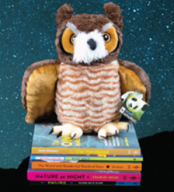 Nature At Night Sweepstakes prize ilustration