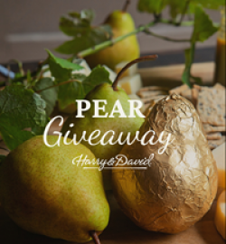Harry and David Pear Giveaway prize ilustration