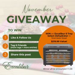 Excalibur 6-Tray Select Dehydrator Giveaway prize ilustration