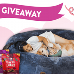 Doggy Date Night Giveaway prize ilustration