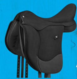 The Wintec Saddle Giveaway prize ilustration