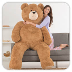 Beary Big Valentine Giveaway prize ilustration