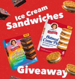 Little Debbie x Hudsonville Ice Cream Sweeps prize ilustration