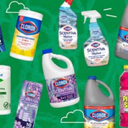 Clorox Catch The Freshness Sweepstakes prize ilustration