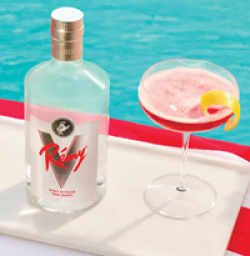 Remy V My Vibe Sweepstakes prize ilustration