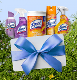 Lysol $1,000 VISA Giveaway prize ilustration