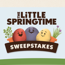 The Little Springtime Sweepstakes prize ilustration