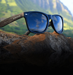 Shady Rays Shade Selection Sweepstakes prize ilustration