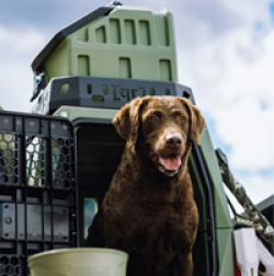 At the Roost Giveaway prize ilustration